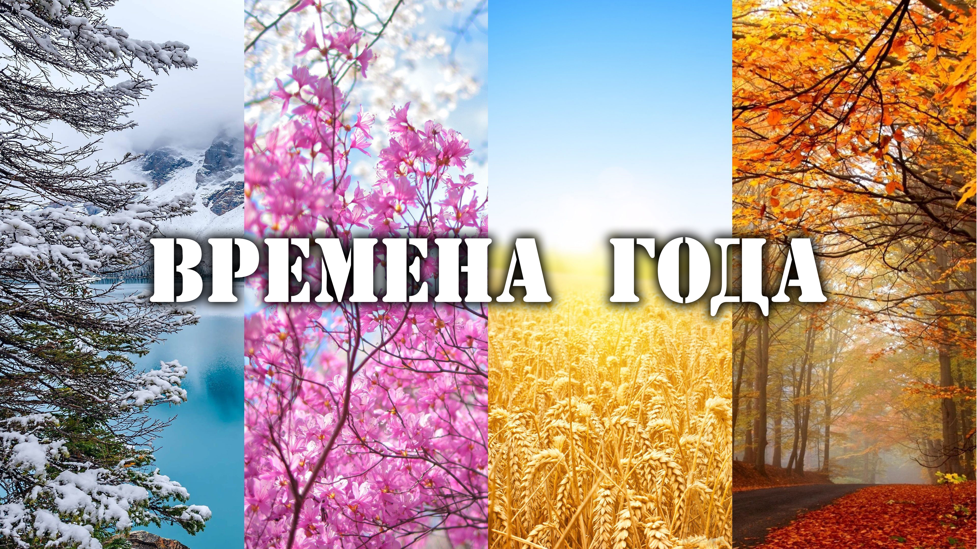 Времена года курган. Времена года. Времена года картинки для детей. Цвета времен года. Красивая надпись времена года.