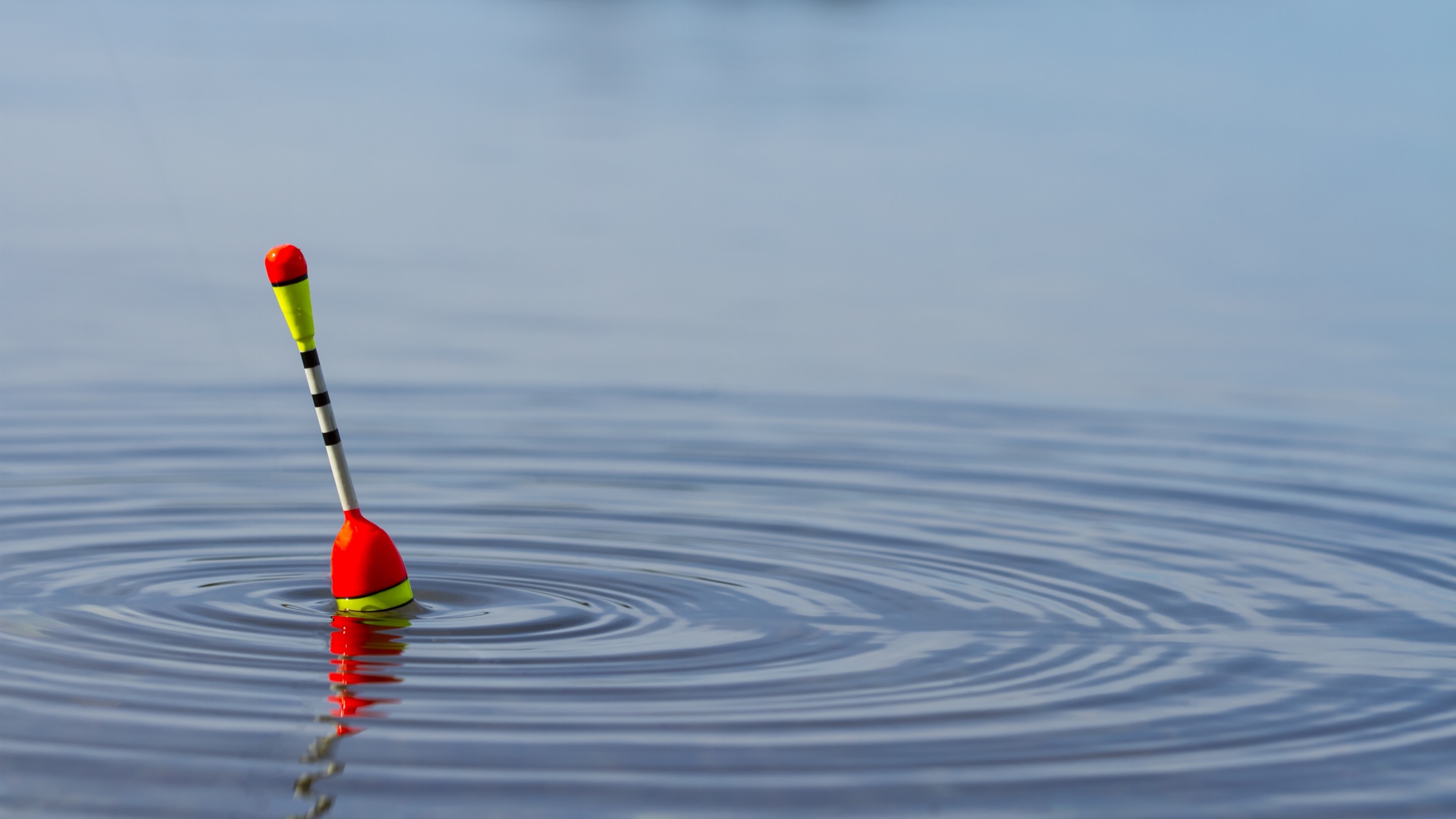 рыба в реке. рыбалка вода. поплавочная удочка. рыбалка вода. рыбалка вода.